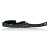 Polar T31