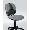 FELLOWES Ultimate Back Support
