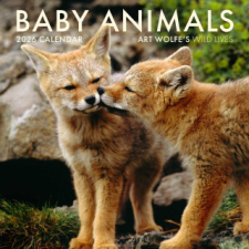 2026 Baby Animals Wall Calendar naptár, kalendárium