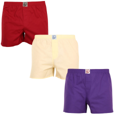  3PACK férfi bő szárú boxeralsók Dedoles többszínű (LB10001748) S