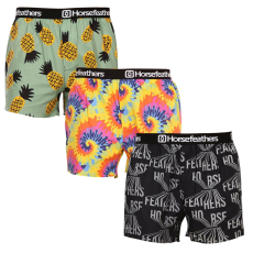  3PACK férfi bő szárú boxeralsók Horsefeathers Frazier (AM166BCD) L