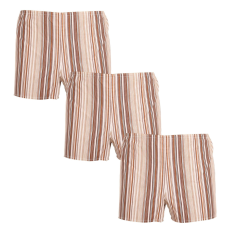  3PACK Klasszikus férfi bő szárú boxeralsók Foltýn barna csíkokkal (3xK53) S