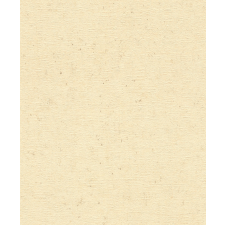  520842 Tapéta (Factory V 2025)/(Concrete 2024) tapéta, díszléc és más dekoráció