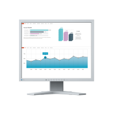 Eizo FlexScan S1934H-GY monitor