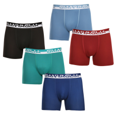  5PACK Férfi boxeralsó Gianvaglia többszínű (GVG-5011) M