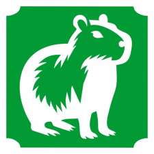  5x5 cm-es Csillámtetoválás sablon - Capybara 90 csillámtetoválás