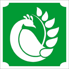  5x5 cm-es Csillámtetoválás sablon - Páva 261 csillámtetoválás