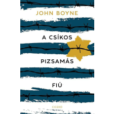 A csíkos pizsamás fiú gyermek- és ifjúsági könyv