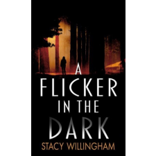  A Flicker in the Dark idegen nyelvű könyv