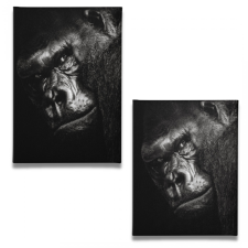 A Gorilla grafika, keretezett kép
