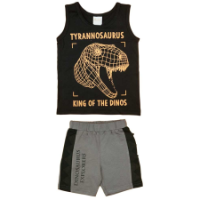 A-K Dinoszauruszos kisfiú nyári szett gyerek ruha szett