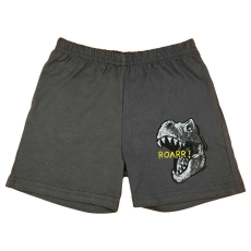 A-K Fiú pamut rövidnadrág dinoszauruszos mintával