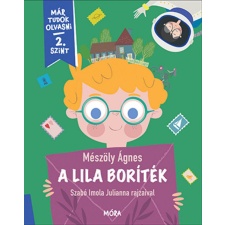 A lila boríték gyermek- és ifjúsági könyv