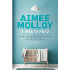 A mintaanya regény