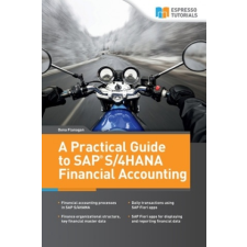  A Practical Guide to SAP S/4HANA Financial Accounting – Oona Flanagan idegen nyelvű könyv