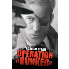  A Stroke of Fate: Operation Valkyrie (digitális licenc) videójáték