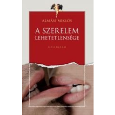 A SZERELEM LEHETETLENSÉGE regény