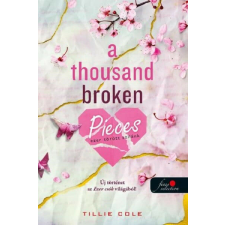  A Thousand Broken Pieces - Ezer törött szilánk gyermek- és ifjúsági könyv