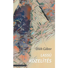 Ab Ovo Kiadó Lassú közelítés regény