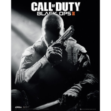 Activision Call of Duty: Black Ops II (PC - Steam elektronikus játék licensz) videójáték