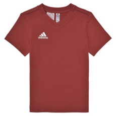 Adidas Rövid ujjú pólók ENT22 TEE Y Piros 11 / 12 éves