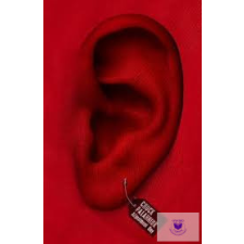  Adjustment Day idegen nyelvű könyv