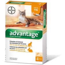 Advantage 40 spot on nyulaknak és macskáknak (4 kg-ig) 0.4 ml élősködő elleni készítmény kutyáknak