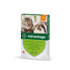 Advantage Advantage Spot On 4 kg alatt 1 db