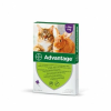Advantage SPOT-ON CAT 0,8ML (4KG-TÓL) 4X