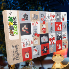  Adventi naptár szakállas agámáknak – Egyedileg összeállított természetes finomságokkal naptár, kalendárium
