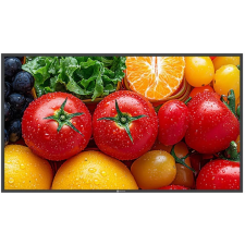 AG Neovo QM-4303 monitor