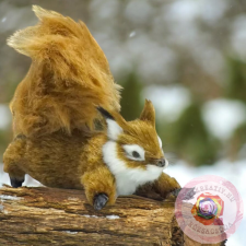  Ágaskodó mókus prémium dekorációs kellék