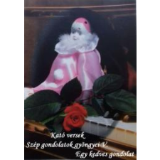 AGENDA Kató versek - Szép gondolatok gyöngyei V. szépirodalom