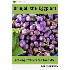 Agrihortico Brinjals, the Eggplant egyéb e-könyv