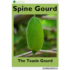 Agrihortico Spine Gourd egyéb e-könyv