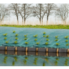  Agroszövet talajtakaró,zöld 1x10m 90g/m2/10m2
