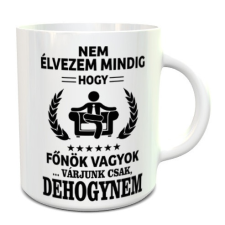  Ajándék főnöknek - Vicces feliratos bögre bögrék, csészék