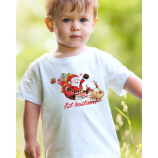  Ajándék mikulásra - Ezt hoztam gyerek póló