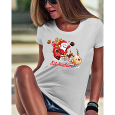  Ajándék mikulásra - Ezt hoztam női póló