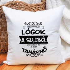 Ajándék tanároknak - Párna tanárnőnek lakástextília
