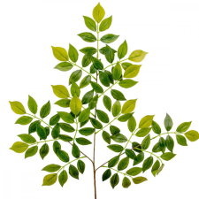  Akác ág 62cm dekorációs kellék