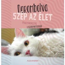 Alexandra Könyvesház Kft. - Dorombolva szép az élet - Magyarország legaranyosabb cicái hobbi, szabadidő