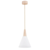 Alfa Alfa BEVEL 61210 Függőlámpa 1x60W/E27 IP20