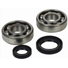 ALL BALLS MINDEN GÖMB Csapágy és Olajtömítés Készlet egyéb motorkerékpár alkatrész