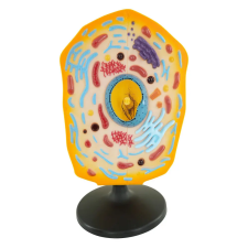  Állati sejt modell oktatójáték