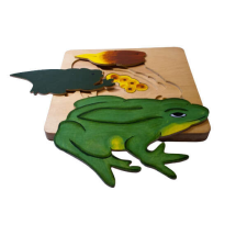  Állatok fejlődése béka kreatív és készségfejlesztő