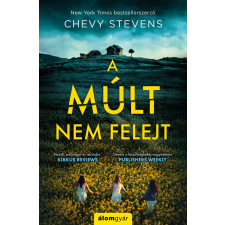 Álomgyár. A múlt nem felejt regény