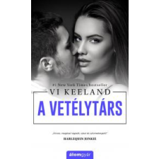 Álomgyár. A vetélytárs regény