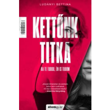 Álomgyár. Kettőnk titka regény