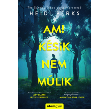 Álomgyár Kiadó Ami késik, nem múlik regény